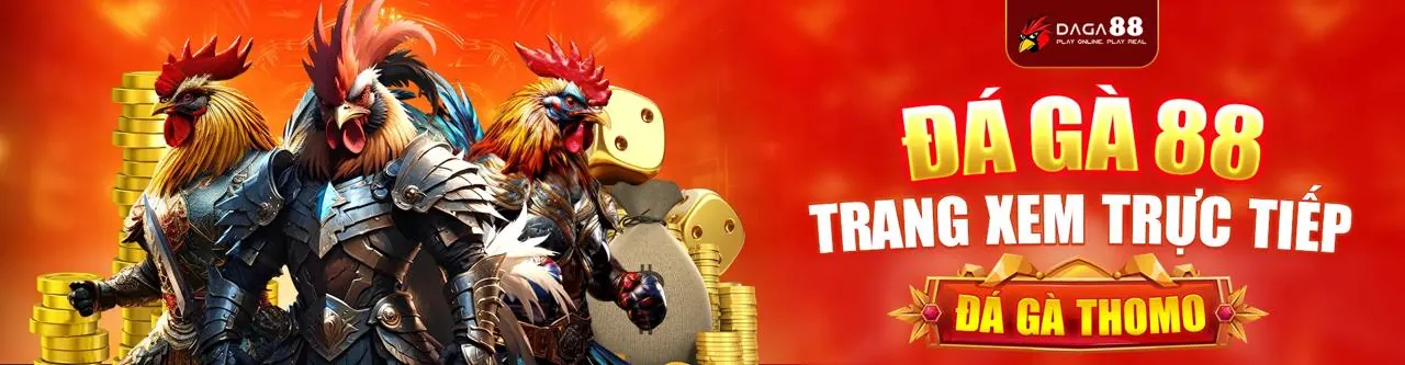 Sân chơi đá gà trực tuyến 23win1 chính thức